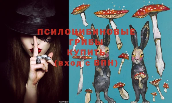 spice Валдай