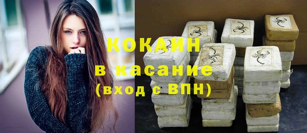 шишки Няндома