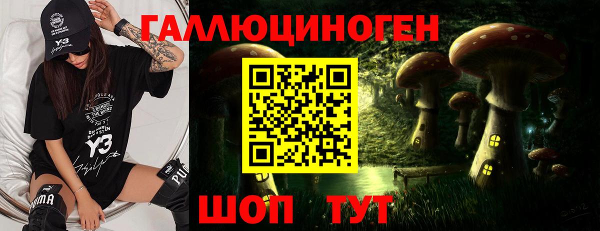 закладки  Псилоцибиновые грибы GOLDEN TEACHER  Вход с VPN  Галлюциногенные грибы Magic Shrooms  Зима 
