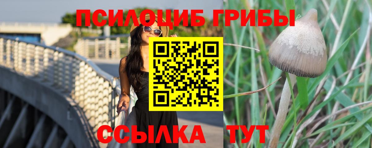 Галлюциногенные грибы MAGIC MUSHROOMS Зима