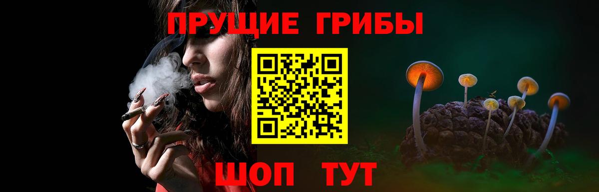 Псилоцибиновые грибы ЛСД  Зима 