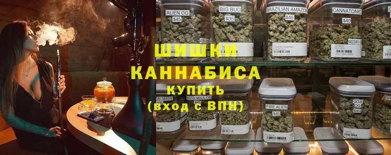 Шишки марихуана индика  гидра как войти  Зима  где купить наркоту 